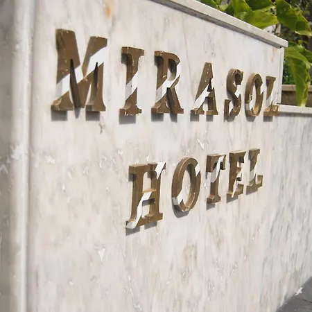 Mirasol 2*